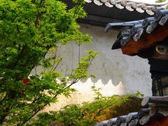 -寂照庵