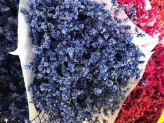 -三圣花乡旅游区