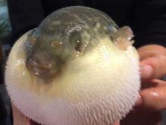 -观桥阁(锦溪店)