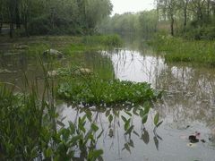 android_upload_pic-新江湾城公园