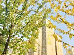 -华润·二十四城