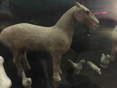 -汉景帝阳陵博物院