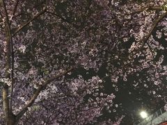 -虹口龙之梦购物中心·停车场