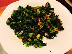 -蓝堡俱乐部