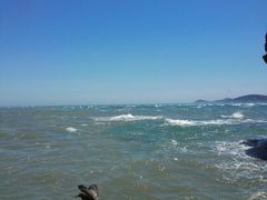 -海驴岛(荣成市)