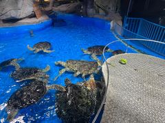 -泉城欧乐堡海洋极地世界