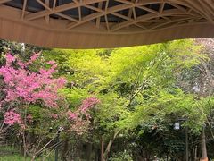 -东明山森林公园