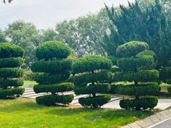 -石家庄市植物园