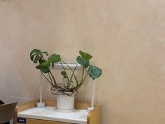 -雲物·云南小馆(好悦天地店)