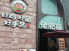 -佬肥猫(七宝宝龙店)