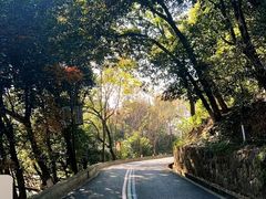 -杭州半山国家森林公园