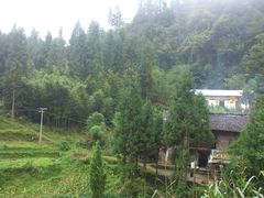 -鹿院坪生态旅游景区