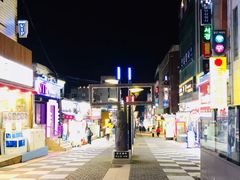 -宝健路步行街(Pedestrian Shopping Street)