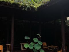 -Metal hands·铁手咖啡