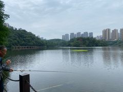 -重庆彩云湖湿地公园