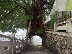 -乌山风景区