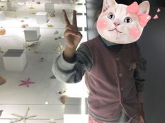 -贝壳王国博物馆