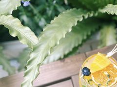 青瓜香茅薄荷清爽茶-CHILLAX轻乐时(侨建·Hi City店)