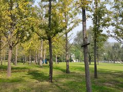 -思念果岭悦温泉