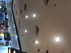 -油梨树 AVOCADO TREE(亮马桥店)