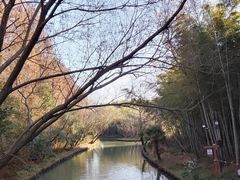 -同里国家湿地公园