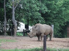 -清迈夜间动物园