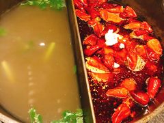 草本鸳鸯锅-盡膳口福跷脚牛肉火锅(合生汇购物中心店)