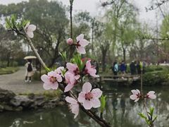 -拙政园