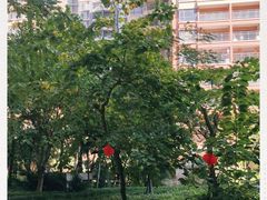 -大亚湾红树林城市湿地公园