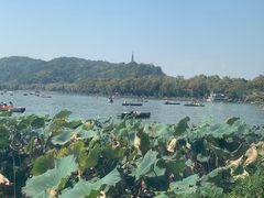 -湖畔居茶楼(湖滨店)
