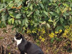 -昆山城市生态森林公园