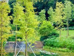 -云溪植物园