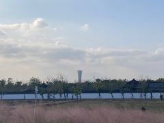 -上海滨江森林公园