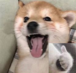 -和良形象