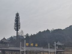 -黄陂区野村谷景区