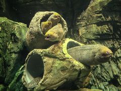 -珠海长隆海洋王国
