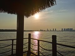 -瑶湖郊野森林公园