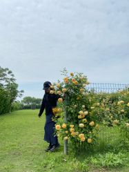 -太湖雪蚕桑文化园
