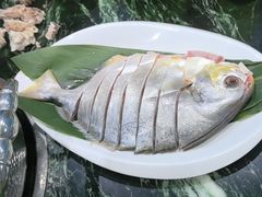 -小海豚•老字号海鲜餐厅(天涯店)