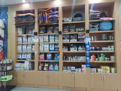 -瑞派名望志远动物医院·猫科·內科·异宠专科(直港大道店)