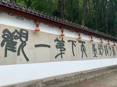 -严子陵钓台(富春江小三峡)