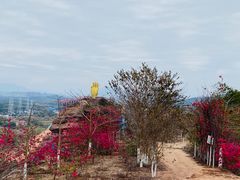 -马头山