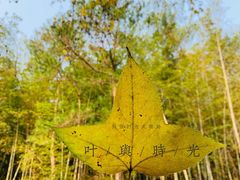 -穹窿山景区