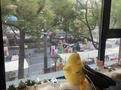 -晓V彩妆造型(大学路店)