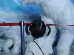 -多彩贵州城极地海洋世界