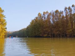 -上海海湾国家森林公园