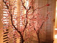 景观位-东京和食 Sun with AQUA