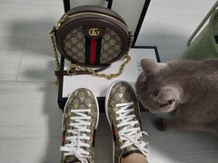 -Gucci(北京SKP店)