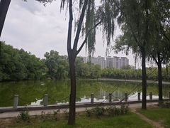 -森林公园(尖草坪区)