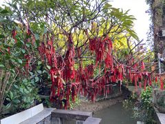 -小洲村